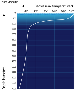 Thermocline Graph.png