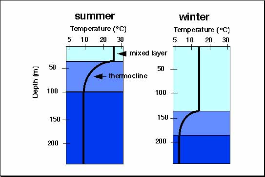 Thermocline variation.png