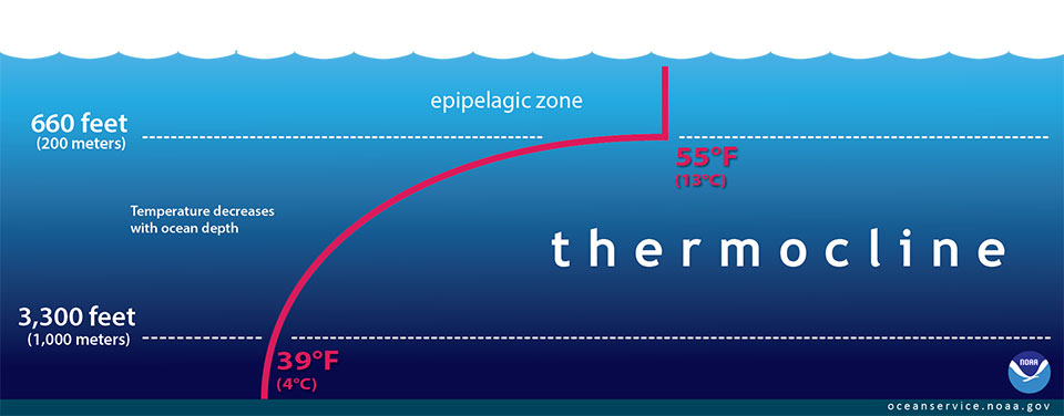 Thermocline.png